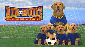 Air Bud 3 - Ein Hund für alle Bälle (2000)