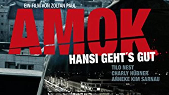 Amok - Hansi gehts gut (2015)