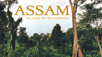 Assam - Im Land der Bienenbäume (1999)