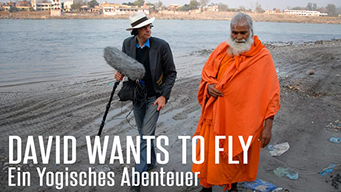 David Wants To Fly - Ein Yogisches Abenteuer (2010)