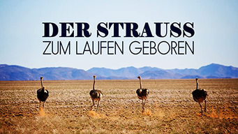 Der Strauß - Zum Laufen geboren (2019)