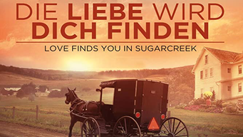 Die liebe wird dich finden - Love finds you in Sugarcreek (2014)
