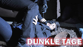Dunkle Tage (2011)