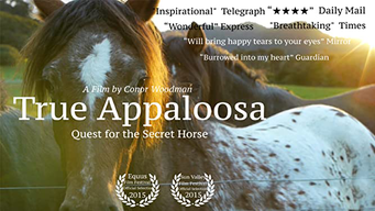 Echte Appaloosa [OV] (2015)