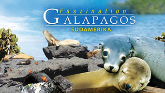 Faszination Galapagos - Südamerika (2012)