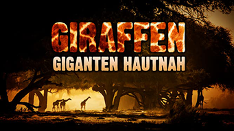 Giraffen - Giganten hautnah (2019)