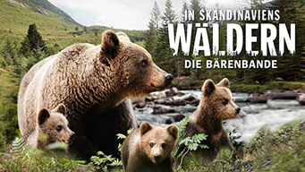 In Skandinaviens Wäldern - Die Bärenbande (2016)