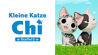 Kleine Katze Chi (2018)