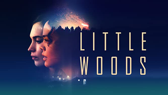 Little Woods [OV] (2019)