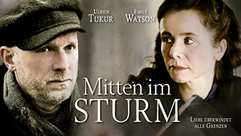 Mitten im Sturm (2011)
