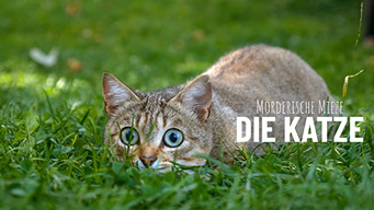 Mörderische Mieze - Die Katze (2019)