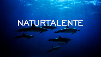 Natur Talente (2019)