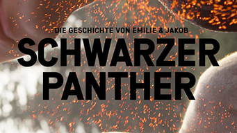 Schwarzer Panther (2017)
