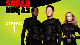 Supah Ninjas [dt./OV] (2011)