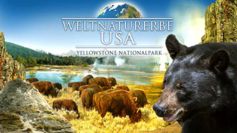 Weltnaturerbe USA  - Yellowstone Nationalpark (2018)