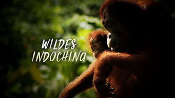Wildes Indochina (2013)
