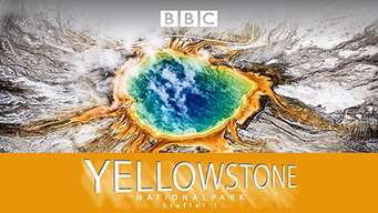 Yellowstone Nationalpark [dt./OV] (2016)