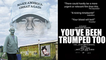 You've Been Trumped Too [OV] (2020)