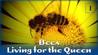 Bees - Living for the Queen (1998)