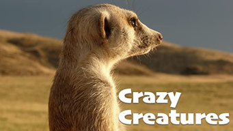 Crazy Creatures (2018)