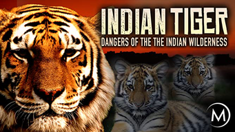 Indian Tiger: Dangers of the Indian Wilderness (2009)