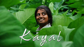 Kayal (2014)