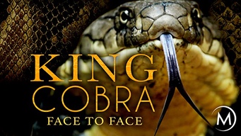 King Cobra: Face to Face (2007)