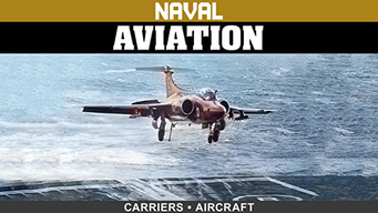 Naval Aviation: Carriers & Aircraft (2017)