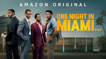 En nat i Miami… (2021)