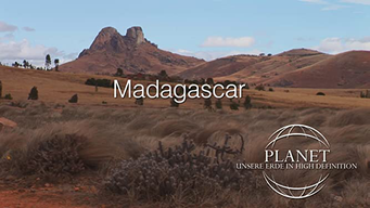 Planet - Madagascar (2011)