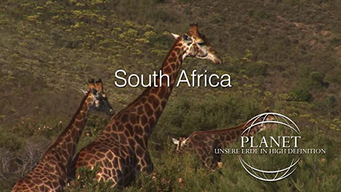 Planet - South Africa (2011)