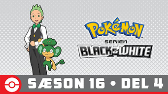 Pokémon Serien: Black and White (DK) (2013)