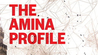 The Amina Profile (2015)