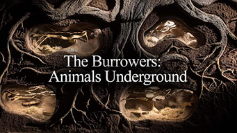 The Burrowers: Animals Underground (2013)