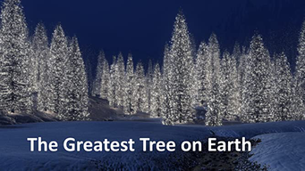 The Greatest Tree on Earth (2005)