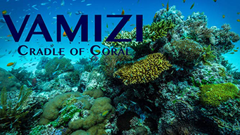 Vamizi: Cradle of Coral (2016)