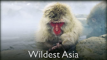 Wildest Asia (2015)