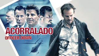 Acorralado (Officer Down) (2013)