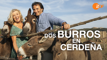 Dos burros en Cerdeña (2015)