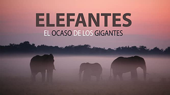 Elefantes, el ocaso de los gigantes (2018)