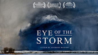 El ojo de la tormenta (2021)