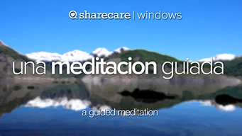 Una meditacion guiada (a guided meditation) (2017)