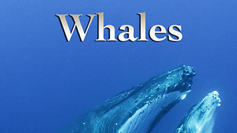 Whales (2018)