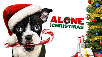 Alone For Christmas (2013)