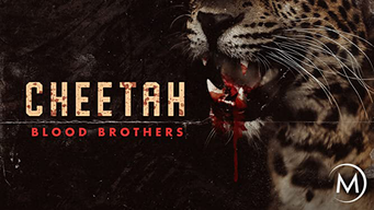 Cheetah Blood Brothers (2007)
