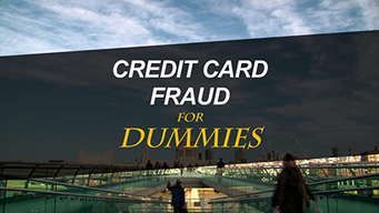 Credit Card Fraud For Dummies (2013)