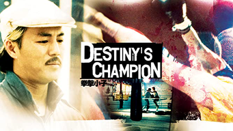 Destiny's Champion (1997)