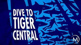 Dive to Tiger Central (2014)