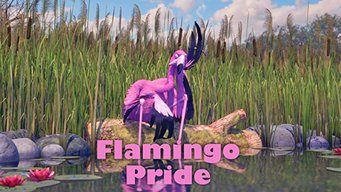 Flamingo Pride (2011)