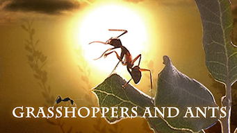 Grasshoppers and Ants (2018)